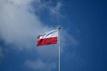Falaga-Polski-ZUWiM